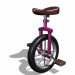 unicycle2
