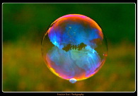 Giant Bubble (photograph by Heather Scott Photography)