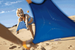 Beach Flingo Animation